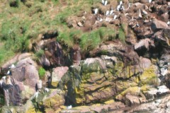 stjohns-_42_