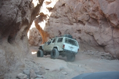 calicoFeb07-002