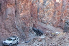 calicoFeb07-008