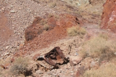 calicoFeb07-013